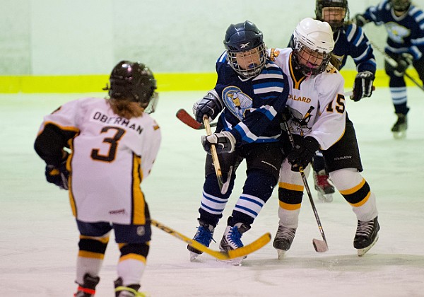 Atom A Girls' Hockey