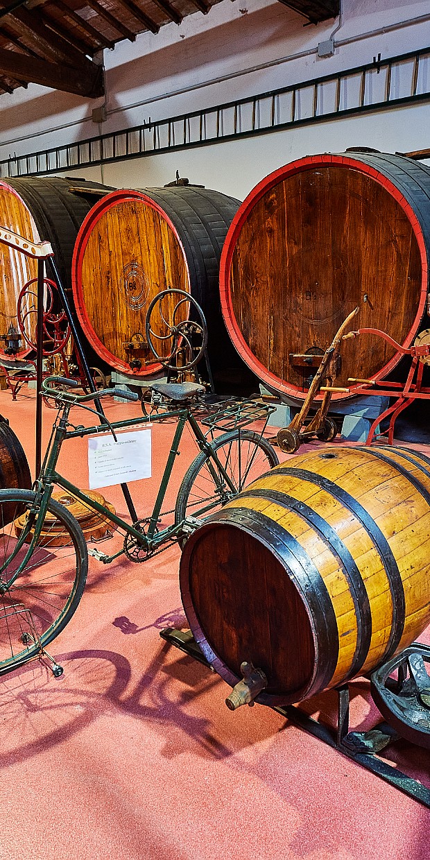 Giacobazzi Winery & Museum