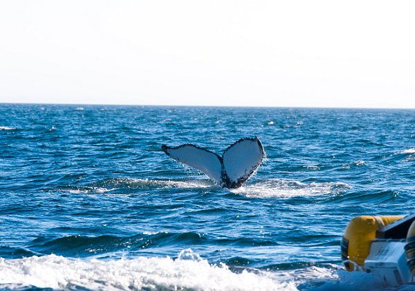 Tadoussac | Charlevoix Region